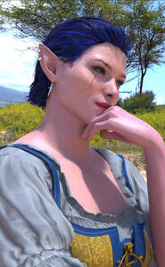 Dawn up close render